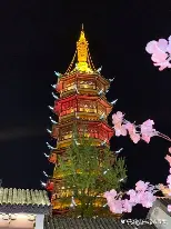重磅：德约科维奇目标并未(德约科维奇能成为史上最佳吗?)|多宝鱼