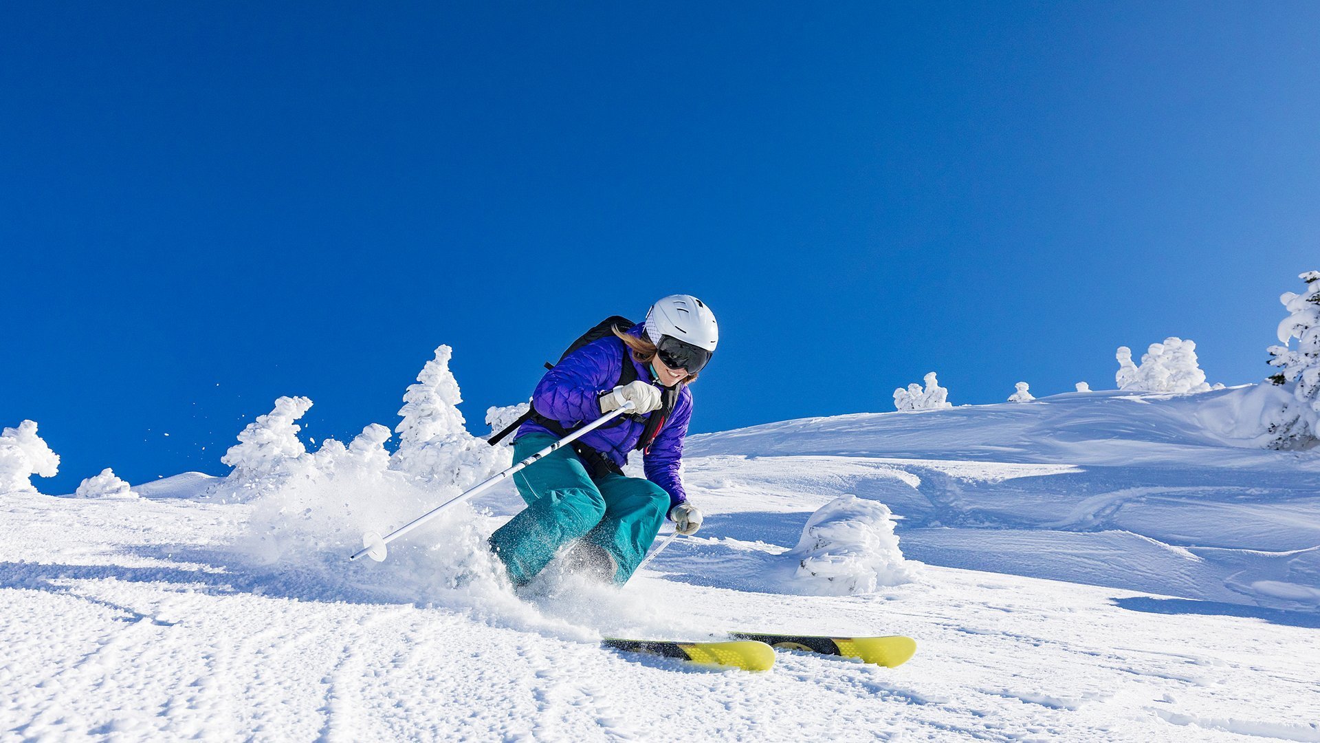 官方：Faker的热火将会排东部(t1官宣和faker续约faker)|多宝鱼和比目鱼的区别
